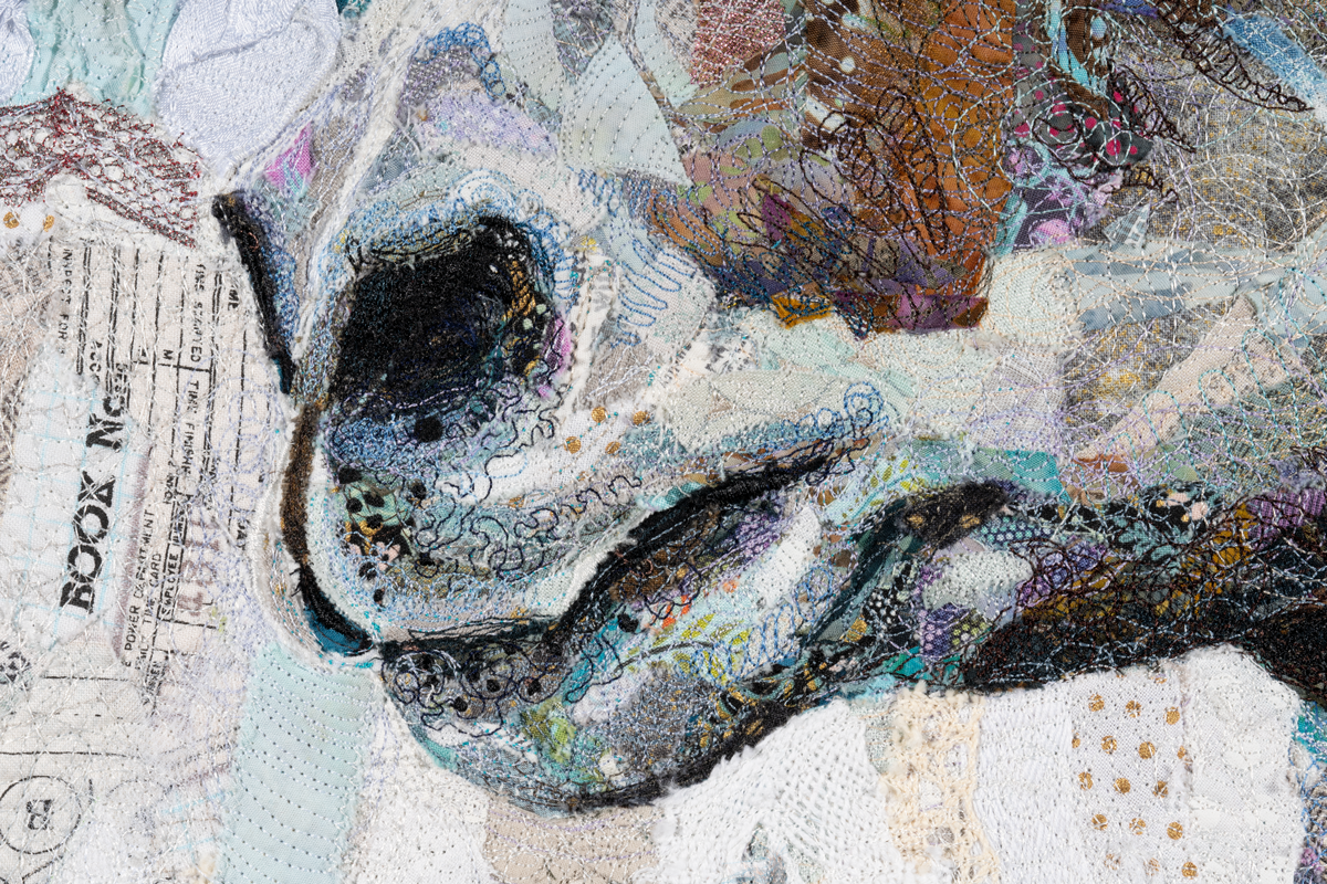 20200210_bighornsheep4