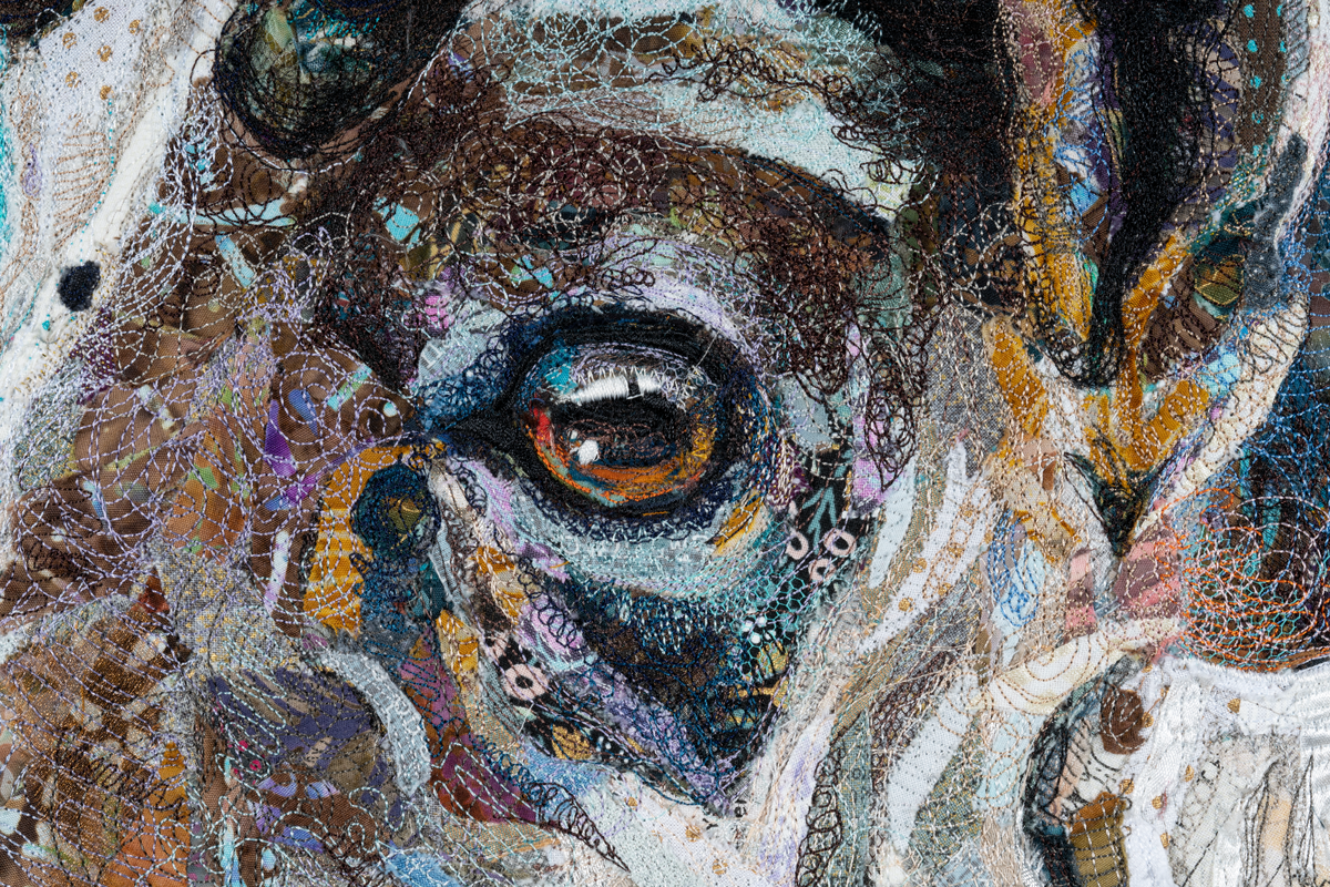 20200210_bighornsheep5